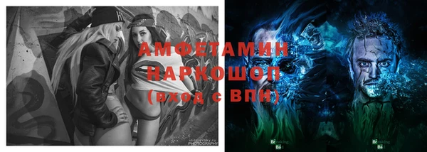 молекула духа Мегион