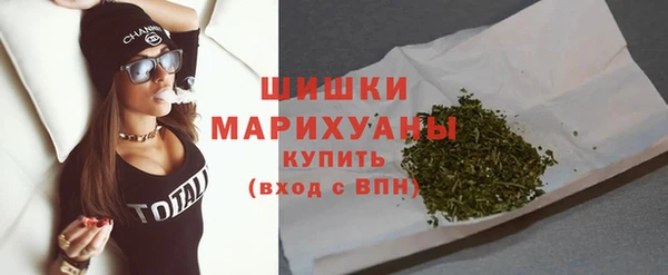молекула духа Мегион