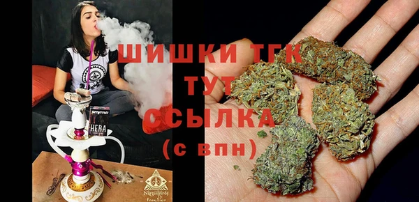 молекула духа Мегион
