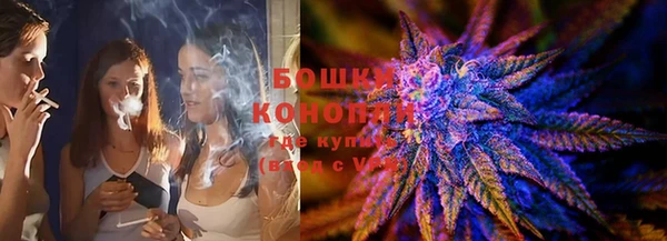 молекула духа Мегион