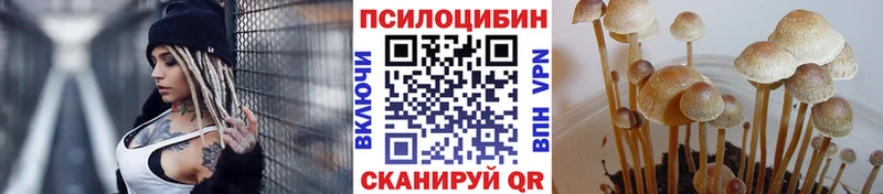 Галлюциногенные грибы GOLDEN TEACHER  наркошоп  Райчихинск 